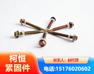 文山六角钻尾丝